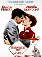 poster de Bundle of Joy