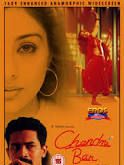 poster de Chandni Bar