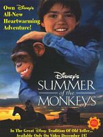 poster de Malin comme un singe