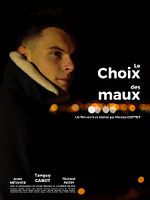 poster de Le Choix des maux