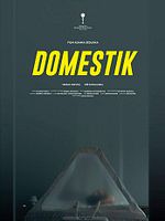 poster de Domestique