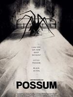 Possum