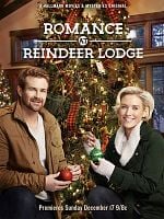 poster de Le Voyage surprise de Noël