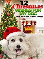 poster de Les Douze vœux de Noël (TV)