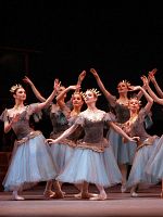 poster de Coppelia (Royal Opera House)