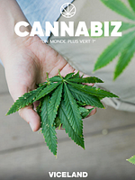 image de Cannabiz