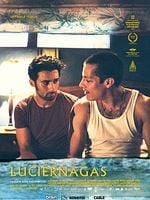 poster de Luciérnagas