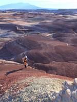 poster de Signe de vie