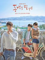 image de When the camelia blooms