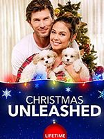 poster de Un Noël près de toi