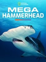 poster de Méga Requin-Marteau