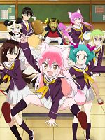 poster de Seton Academy: Join the Pack!