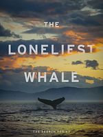 poster de The Loneliest Whale: The Search For 52