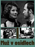 poster de The Man in the Net