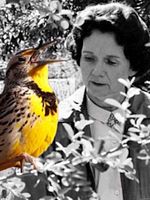 poster de Rachel Carson, la mère de l'écologie