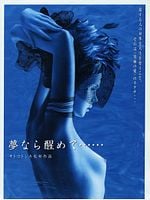poster de Perfect Blue