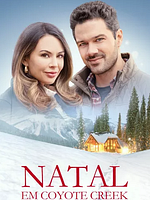 poster de L'invité surprise de Noël