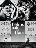 poster de Félins Noir sur Blanc