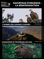 poster de Sauvetage d’urgence : la réintroduction