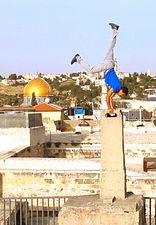 Derrière les fronts: résistances et résiliences en Palestine