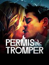 Affiche de Permis de tromper, film à voir en streaming sur Pygargue