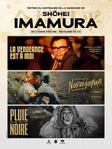 poster du film Pluie noire