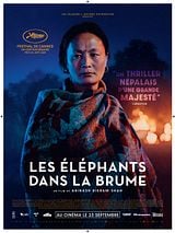 poster du film Les Elephants dans la brume
