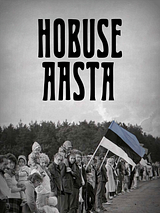 poster du film L’Année du cheval