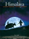 Affiche de Himalaya, l'enfance d'un chef, film à voir en streaming sur Pygargue