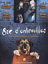 Affiche de Sac d'embrouilles, film à voir en streaming sur Pygargue