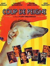 Affiche de Coup de peigne, film à voir en streaming sur Pygargue