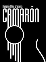 Affiche de Camarón, film à voir en streaming sur Pygargue