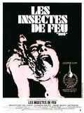 Affiche de Les Insectes de feu, film à voir en streaming sur Pygargue