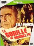 Affiche de Le Gorille de Brooklyn, film à voir en streaming sur Pygargue