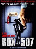 Affiche de Box 507, film à voir en streaming sur Pygargue