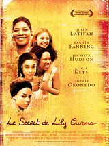 Affiche de Le Secret de Lily Owens, film à voir en streaming sur Pygargue