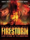 Affiche de La Forêt en feu, film à voir en streaming sur Pygargue