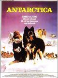 Affiche de Antarctica, film à voir en streaming sur Pygargue