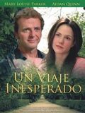 Affiche de L'Amour d'une mère, film à voir en streaming sur Pygargue