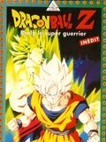 Affiche de Dragon Ball Z : Broly, le super guerrier, film à voir en streaming sur Pygargue