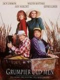 Affiche de Les Grincheux 2, film à voir en streaming sur Pygargue