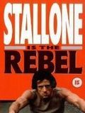 Affiche de Rebel, film à voir en streaming sur Pygargue