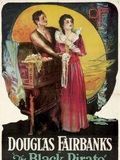 poster du film Le Pirate noir