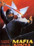 Affiche de Mafia contre Ninja, film à voir en streaming sur Pygargue