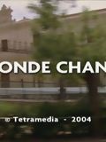 Affiche de Seconde chance, film à voir en streaming sur Pygargue