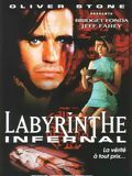 Affiche de Labyrinthe infernal, film à voir en streaming sur Pygargue