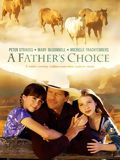 Affiche de Un Cowboy pour père (TV), film à voir en streaming sur Pygargue