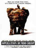 Affiche de Operation Dumbo Drop, film à voir en streaming sur Pygargue