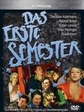 Affiche de The First Semester, film à voir en streaming sur Pygargue