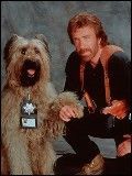 Affiche de Top Dog, film à voir en streaming sur Pygargue